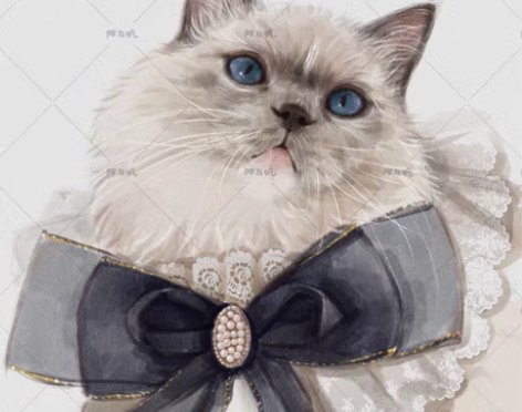 包邮宠物头像约稿定制  宠物手绘定制  照...