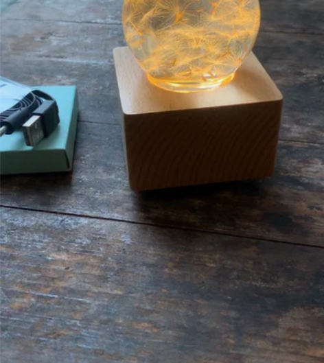 包邮蒲公英的约定 八音盒 水晶球音乐盒小夜...