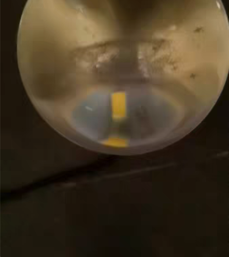 包邮柠萌影业网剧电视剧《胆小鬼》官方周边水...