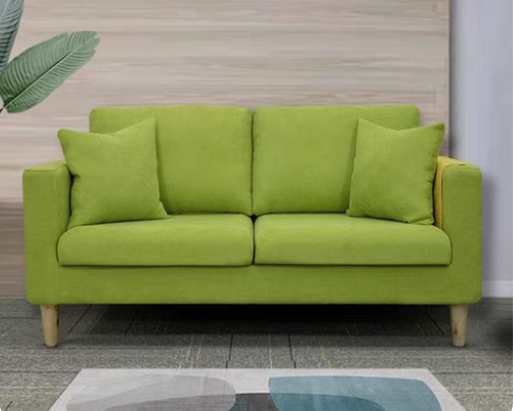 北欧简约现代布艺沙发小客厅双人出租房小型小...