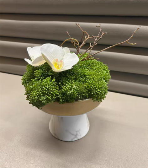 现代工艺品米果蝴蝶兰微景观盆景花艺摆件~摆...