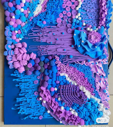 包邮小红书获赞收藏3000+的作品,原是服...