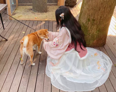 包邮现货 子颂东方美学 明制小福狸比甲琵琶...