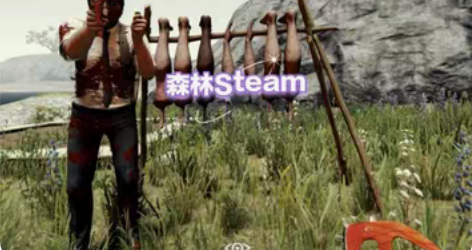 森林 the forest steam账号...