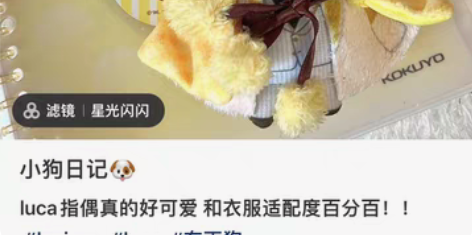 【已收到】收luca指偶 标价随缘收 图源...