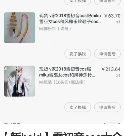 【暂hold】雪初音cos大全套 前年入的...