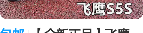 包邮【全新正品】飞鹰S5SS6S滑鞋溜冰鞋...