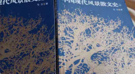 包邮中国现代风景散文史两册，如图，原价95...