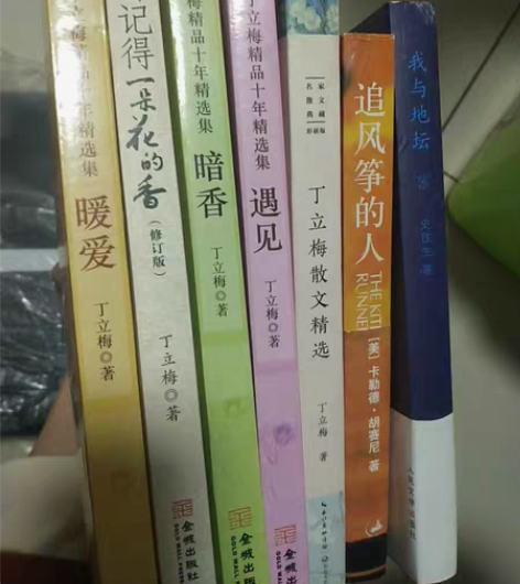 丁立梅的文学作品系列《暖爱》《遇见》《暗香...