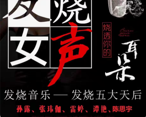 包邮正版发烧cd碟片 高音质HIFI试机女...