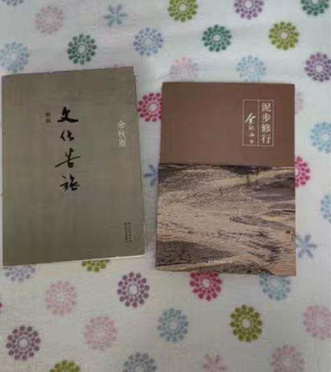 包邮两本余秋雨作品25包邮～九成新～价格可...