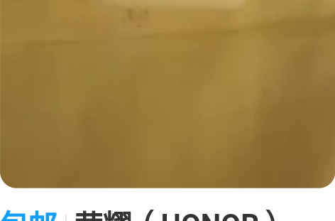 包邮荣耀(HONOR) Earbuds 2...