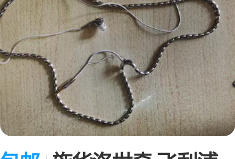 包邮施华洛世奇 飞利浦联名水晶耳机 型号s...