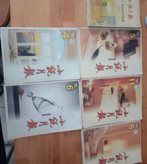 包邮小说月报系列书，这个不错，其中有一个是...