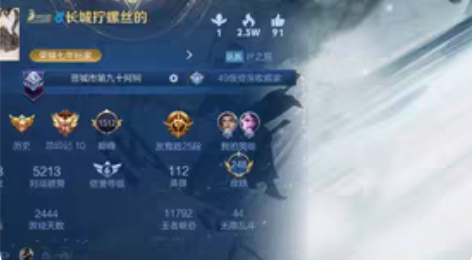 游戏租号王者v9出租 有李白新皮肤 至尊宝...