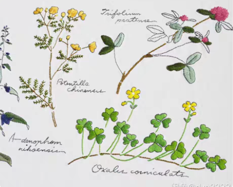 ]野草欧式刺绣相片墙16寸墙画绣材料包 [...