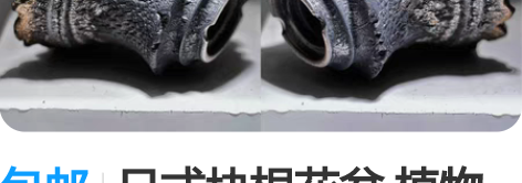 包邮日式块根花盆 植物盆器【新款黑金配色】...