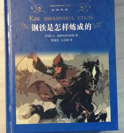 《钢铁是怎样炼成的》 微瑕，书里没有涂写，...