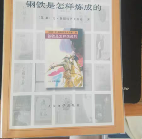 包邮钢铁是怎样炼成的 图书 人民文学出版社...