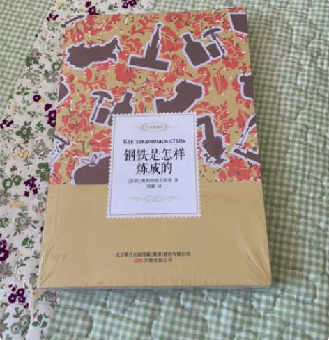 钢铁是怎样炼成的 本地可自取 中小学必读科...