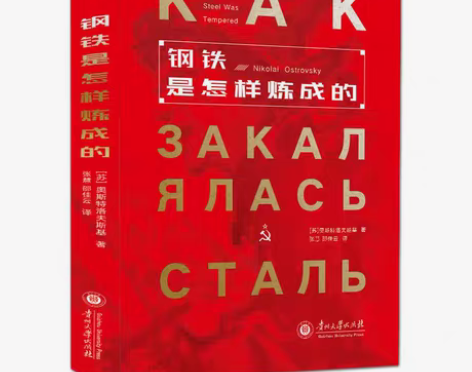 包邮《钢铁是怎样炼成的》是前苏联作家尼古拉...