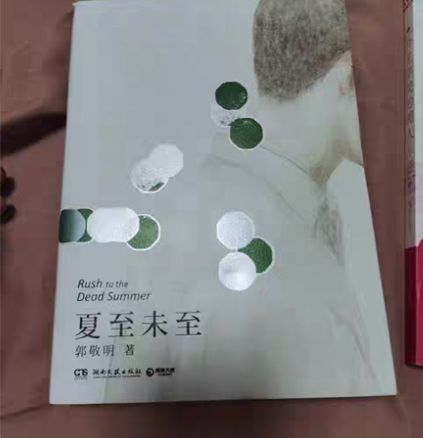 包邮夏至未至   湖南文艺出版社   郭敬...