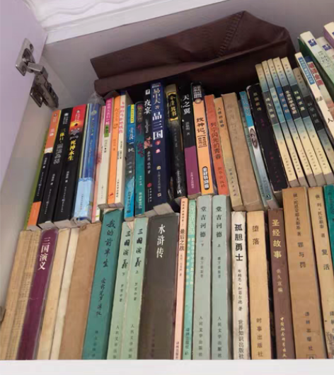 各种书，小说，世界名著，金庸名著 感兴趣的...