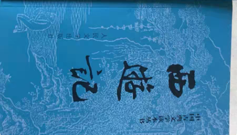 正版西游记，全两册，轻微使用痕迹，20不包...