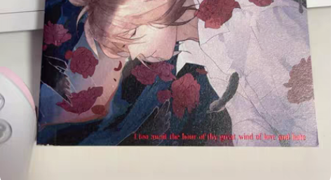 包邮【雷安】红与黑 预留 预留¥652人想要