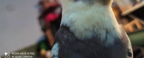 当你轮回再来，良师，已经涅槃。 良缘，消失...