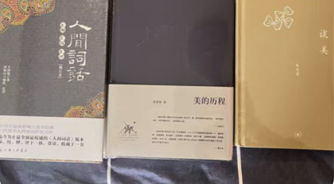 包邮精装美的历程+谈美+人间词话【三联书店...