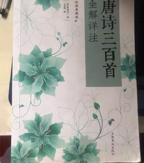 闲书 唐诗三百首 初中生必买书 娃儿太懒书...