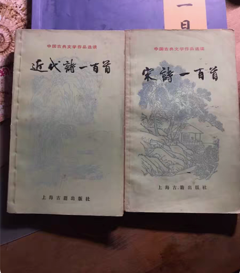 古老书两本，近代诗诗三百首宋词一百百首，都...
