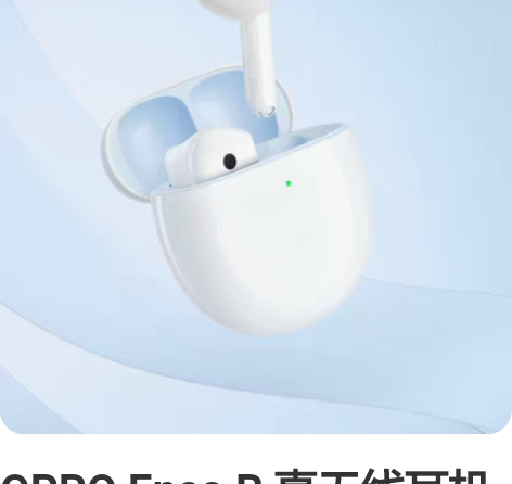 OPPO Enco R 真无线耳机  个人...