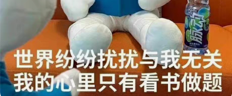 包邮留学生C语言\c++\python\j...