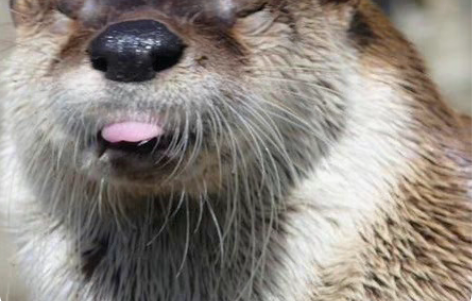 985电子信息硕士在读,程序指导 简介:9...