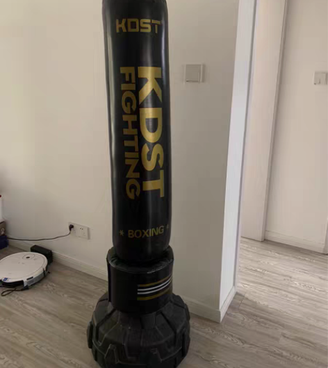 搬家断舍离，只能自提，拳击沙袋散打立式吊式...