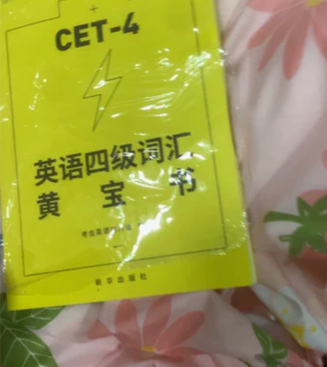 包邮考虫四级英语词汇书！全新未拆封！买回来...