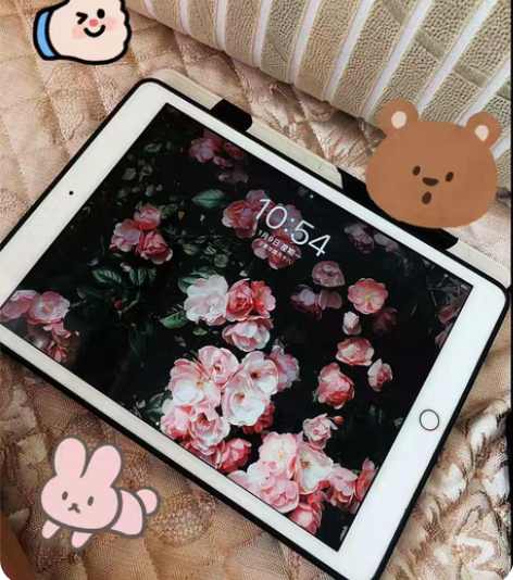 （标价无套路）带笔出 iPad 2019款...