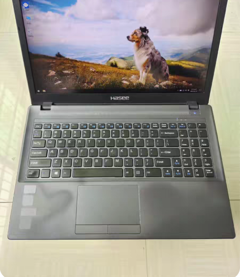 神舟炫龙笔记本 高频G5400 MX150...