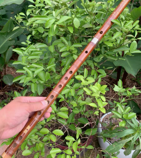包邮爵泰单插两节D调笛子，音色音质材料不错...
