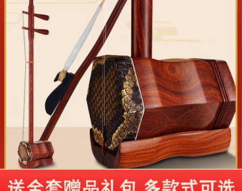 转卖黑檀全套二胡初学者入门儿童成人练习民乐...