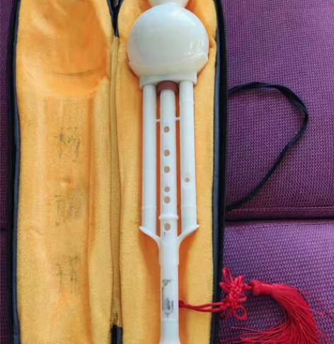 葫芦丝降b调，当初买成两百多，音质好，易保...