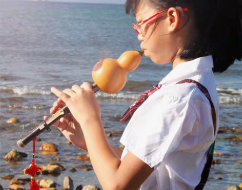 转卖云南葫芦丝乐器初学降B调C调小学生紫竹...