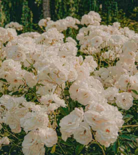 包邮英语辅导 研究生家教 前xdf老师，现...