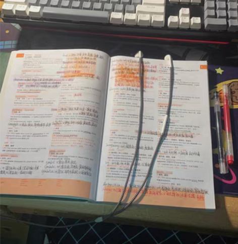 考研英语一辅导 本人21级研究生 211...