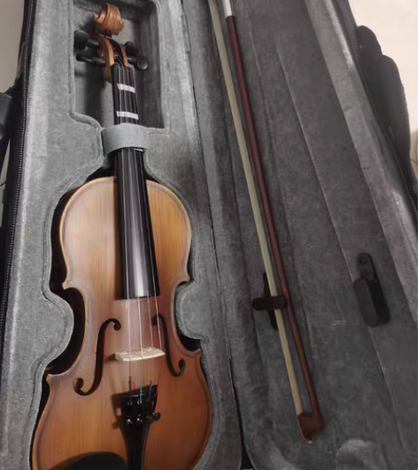 全新小提琴，孩子大小不适合未用，适合初学者...