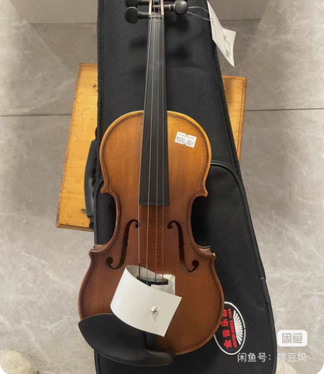 闲置全新小提琴，1/8大小，金音牌，不包邮...