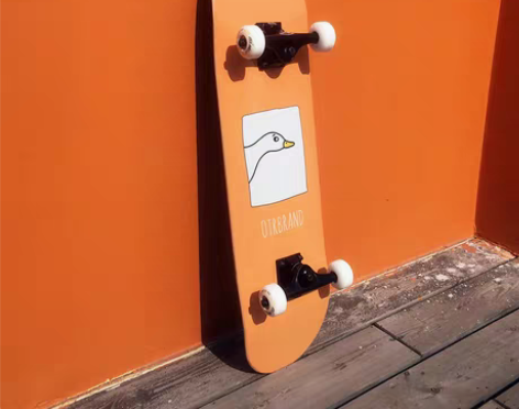 转卖OTR专业滑板成人青少年男女生滑板抖音...