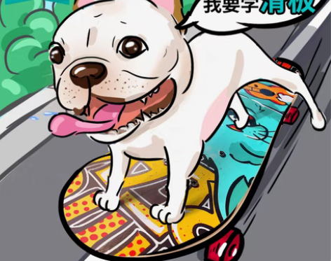 转卖TT滑板 宠物滑板法斗犬英斗专业滑板狗...